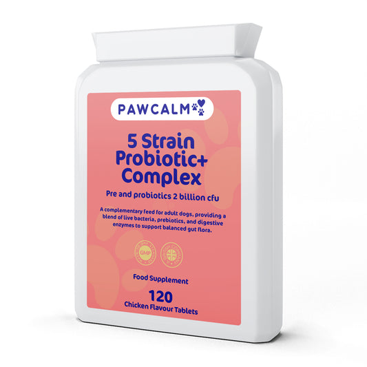 Pawcalm Probiotic complex for dogs