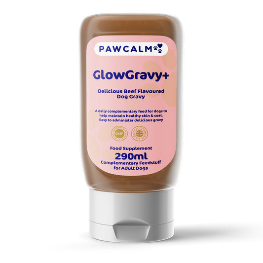 Pawcalm Glow Gravy+ - Pawcalm
