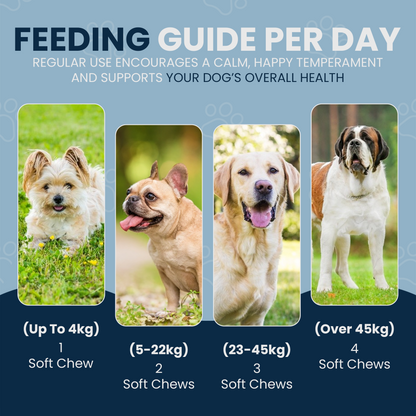 Pawcalm feeding Guide